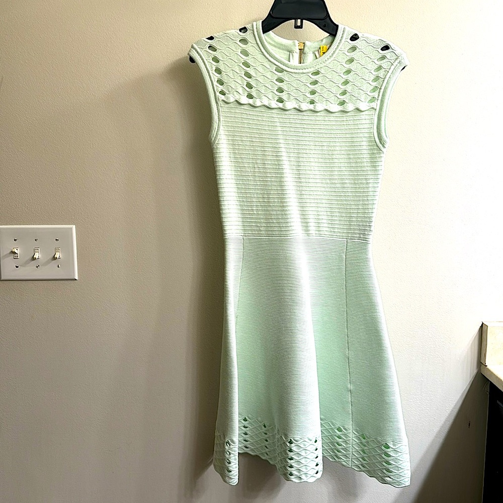Ted Baker size 2 mint sleeveless dress. Beautiful detail on neck and hemline